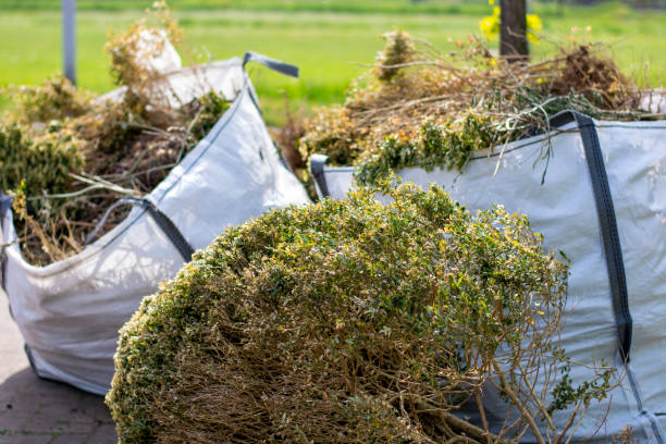 Full-Service Junk Removal in Trinity, TX